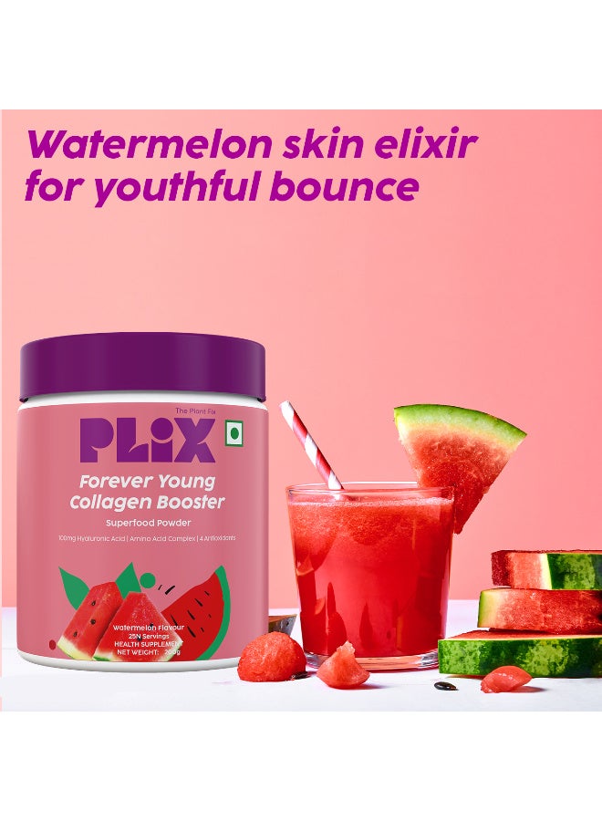 PLIX THE PLANT FIX PLIX- THE PLANT FIX Collagen Booster Powder with 100mg Hyaluronic Acid | Plant-based formula | Vitamin C | No added sugar | Helps support skin health - Image 5