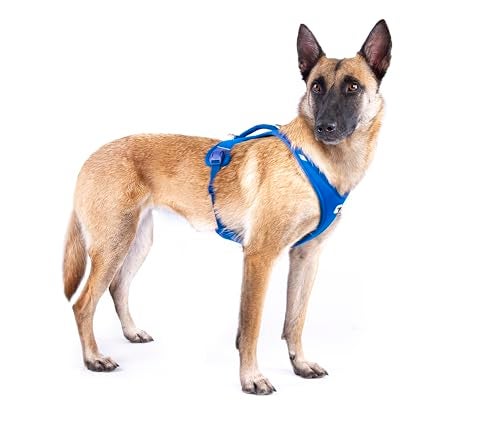 Curli Belka Harness Air-Mesh Black 2XL - Image 4