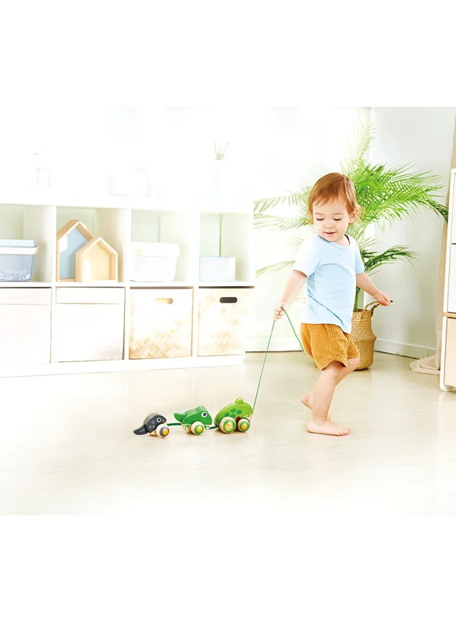 Hape Wooden Frog Themed Push And Pull-Along Toy