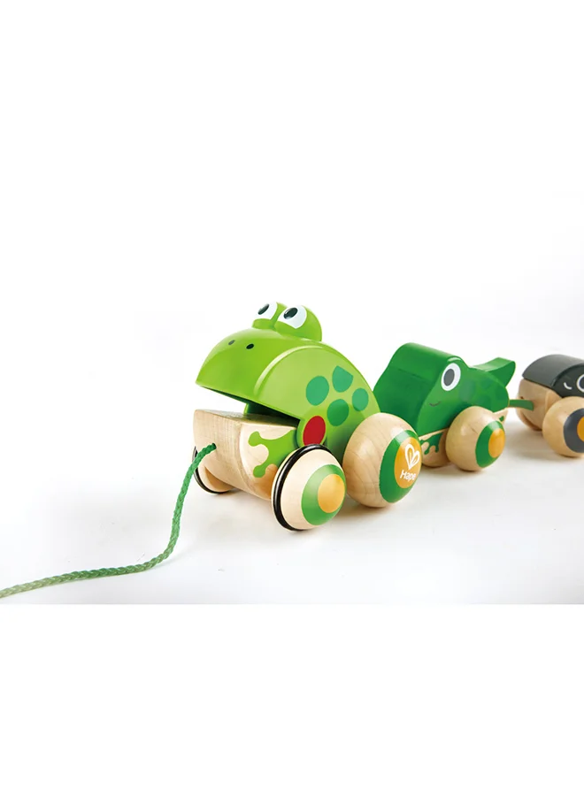 Hape Wooden Frog Themed Push And Pull-Along Toy
