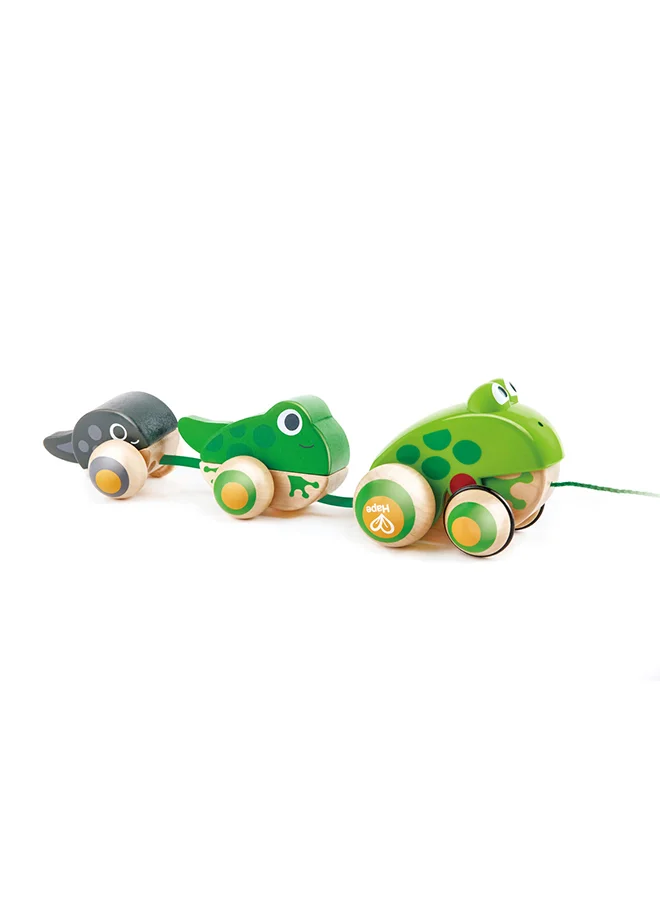 Hape Wooden Frog Themed Push And Pull-Along Toy