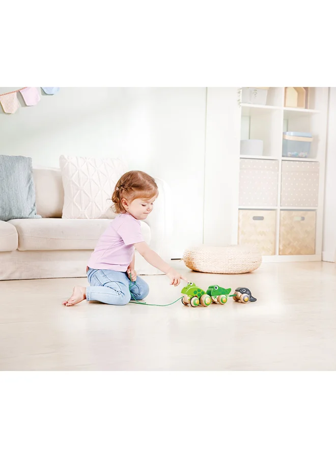 Hape Wooden Frog Themed Push And Pull-Along Toy
