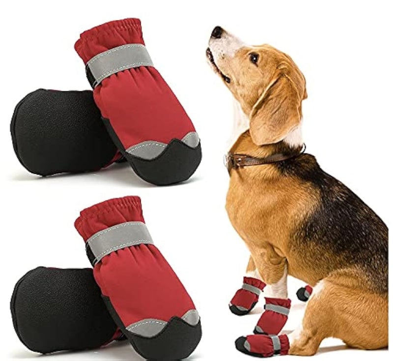 KUTKUT Dog Boots for Small Dogs|Anti Skid Paw Protector for Hot Summer for Shih Tzu,Pug, King Charls etc|Pet Shoes with Reflective Straps & Non-Slip Sole|Soft & Lightweight Dog Footwear (Size:4) - Image 1