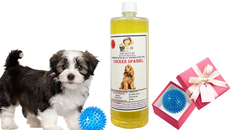 swacch Shampoo | Puppy Safe Shampoo | PH Balanced | Ditch to Itch for Cocker Spaniel Dog Shampoo 1 Litre (Lemon) + Spike Ball Chew Toy Combo Pack - Image 1