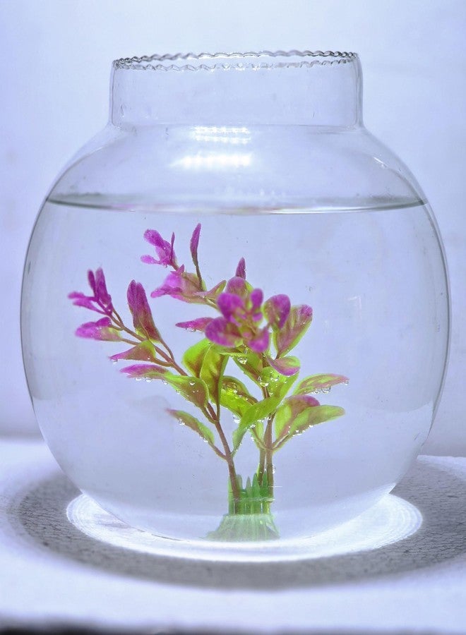 ADecor Crystal Clear Aquarium, Round Collar Vase, Fish Pot for Home & Centre Table Decoration (8 inches) - Image 1