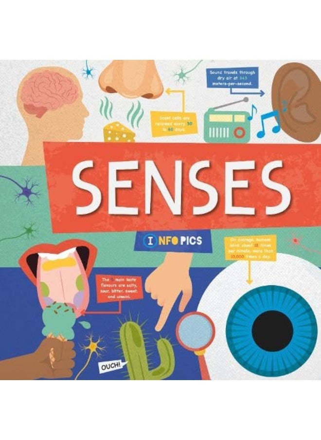 Senses  - Image 1