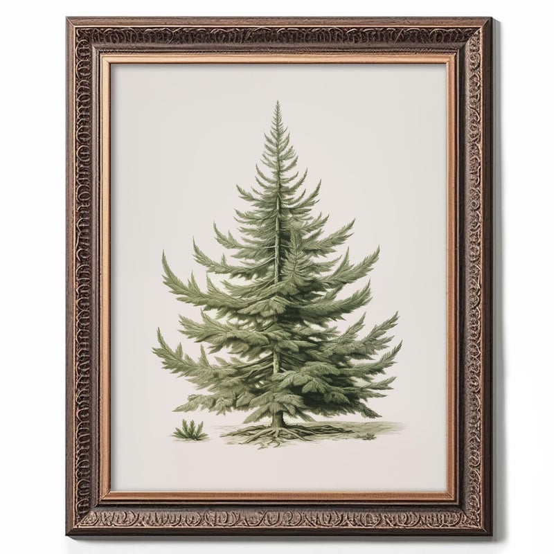 ZEARPT Christmas Tree Art Print  Vintage Fir Botanical Sketch  Christmas Tree Painting Print  Pine Tree Antique Print  Christmas Tree Wall Art - Image 2