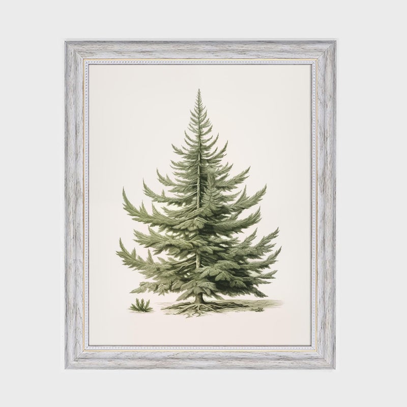 ZEARPT Christmas Tree Art Print  Vintage Fir Botanical Sketch  Christmas Tree Painting Print  Pine Tree Antique Print  Christmas Tree Wall Art - Image 4