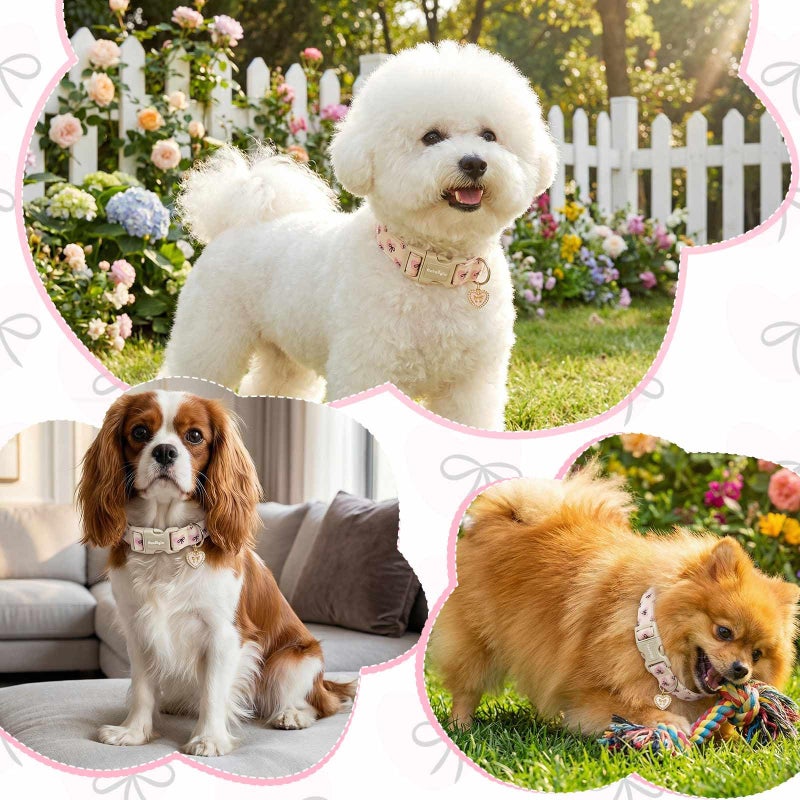 Astdogio Bow Dog Collar with Pink Heart, Adjustable Cotton Dog Collar for Small Medium Large Dogs, Cute Puppy Collar for Girl Boy Dogs, Ideal for Gifts,Pet Accessory,S - Image 4