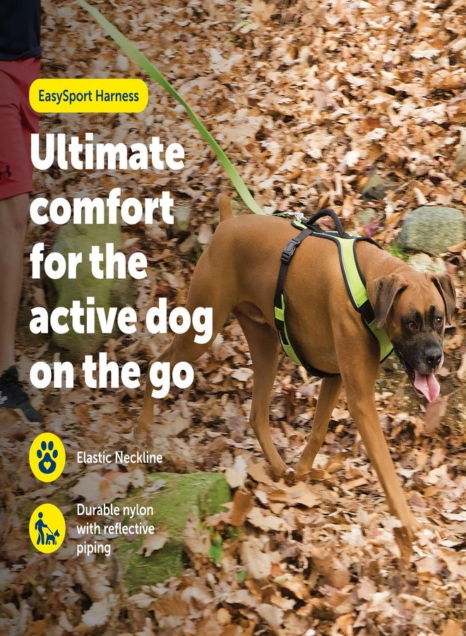 PetSafe EasySport Harness - Durable Padded Fabric, Adjustable Elastic Neckline, Rear-Leash Attachment & Nighttime Reflective Visibility - No Choke or Gag Secure Fit - Extra-Small - Apple Green - Image 2