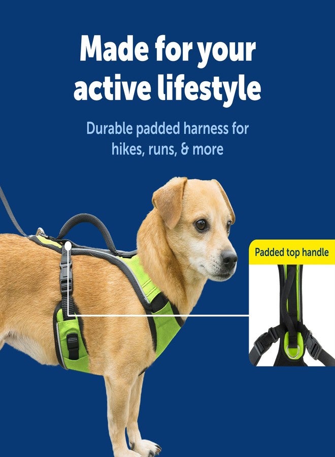 PetSafe EasySport Harness - Durable Padded Fabric, Adjustable Elastic Neckline, Rear-Leash Attachment & Nighttime Reflective Visibility - No Choke or Gag Secure Fit - Extra-Small - Apple Green - Image 3