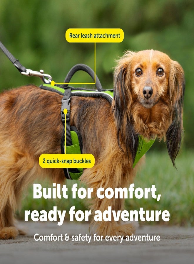 PetSafe EasySport Harness - Durable Padded Fabric, Adjustable Elastic Neckline, Rear-Leash Attachment & Nighttime Reflective Visibility - No Choke or Gag Secure Fit - Extra-Small - Apple Green - Image 4