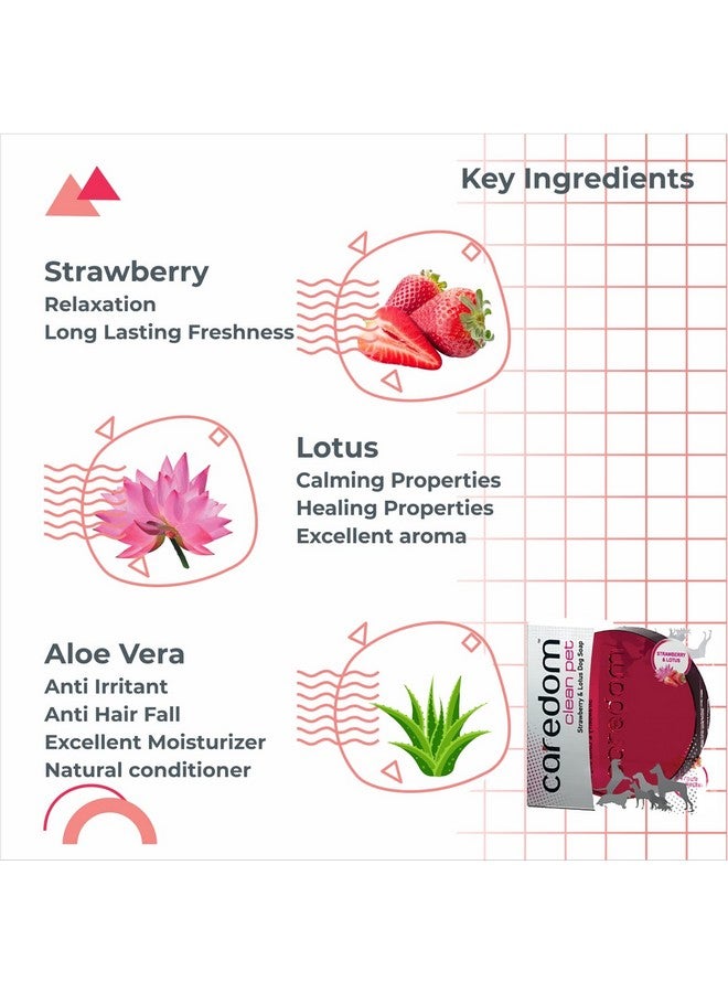 Caredom عرض كومبو كيريدوم - صابون بار | صابون مضاد للبكتيريا للكلاب | صابون طبيعي بنكهة الفراولة والليمون والنييم والنعناع | صابون للكلاب | 4 أنواع من صابون الكلاب 75 جرام | صنع في الهند - Image 3