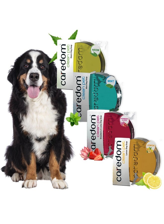 Caredom عرض كومبو كيريدوم - صابون بار | صابون مضاد للبكتيريا للكلاب | صابون طبيعي بنكهة الفراولة والليمون والنييم والنعناع | صابون للكلاب | 4 أنواع من صابون الكلاب 75 جرام | صنع في الهند - Image 1