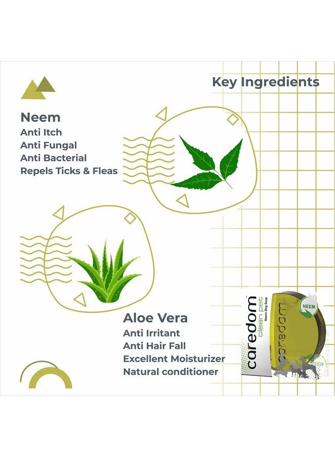 Caredom عرض كومبو كيريدوم - صابون بار | صابون مضاد للبكتيريا للكلاب | صابون طبيعي بنكهة الفراولة والليمون والنييم والنعناع | صابون للكلاب | 4 أنواع من صابون الكلاب 75 جرام | صنع في الهند - Image 2