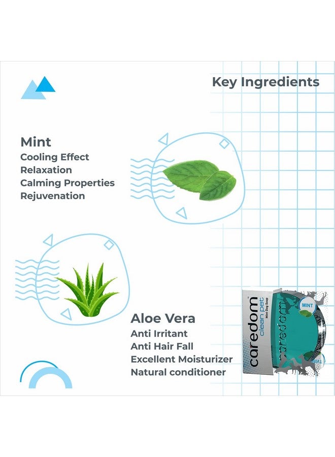 Caredom عرض كومبو كيريدوم - صابون بار | صابون مضاد للبكتيريا للكلاب | صابون طبيعي بنكهة الفراولة والليمون والنييم والنعناع | صابون للكلاب | 4 أنواع من صابون الكلاب 75 جرام | صنع في الهند - Image 4