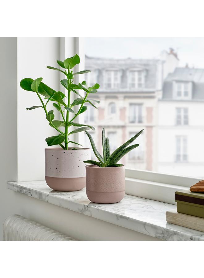 Zaboon Plant pot, in/outdoor/grey, 9 cm - Image 2