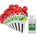 AeroGarden AeroGarden Red Heirloom Cherry Tomato Seed Pod Kit  - Image 2