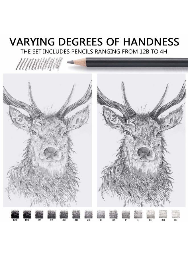 MARKART Professional Drawing Sketching Pencil Set - 14 Pieces,Graphite,(12B - 4H), Ideal for Drawing Art, Sketching, Shading, Artist Pencils for Beginners & Pro Artists - Image 5