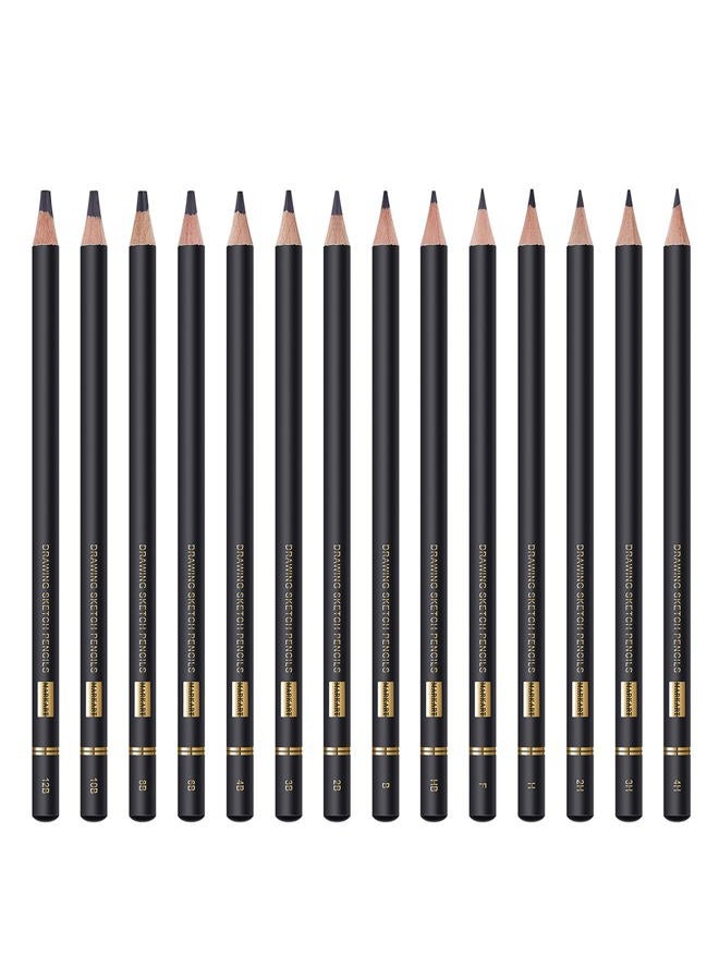 MARKART Professional Drawing Sketching Pencil Set - 14 Pieces,Graphite,(12B - 4H), Ideal for Drawing Art, Sketching, Shading, Artist Pencils for Beginners & Pro Artists - Image 2