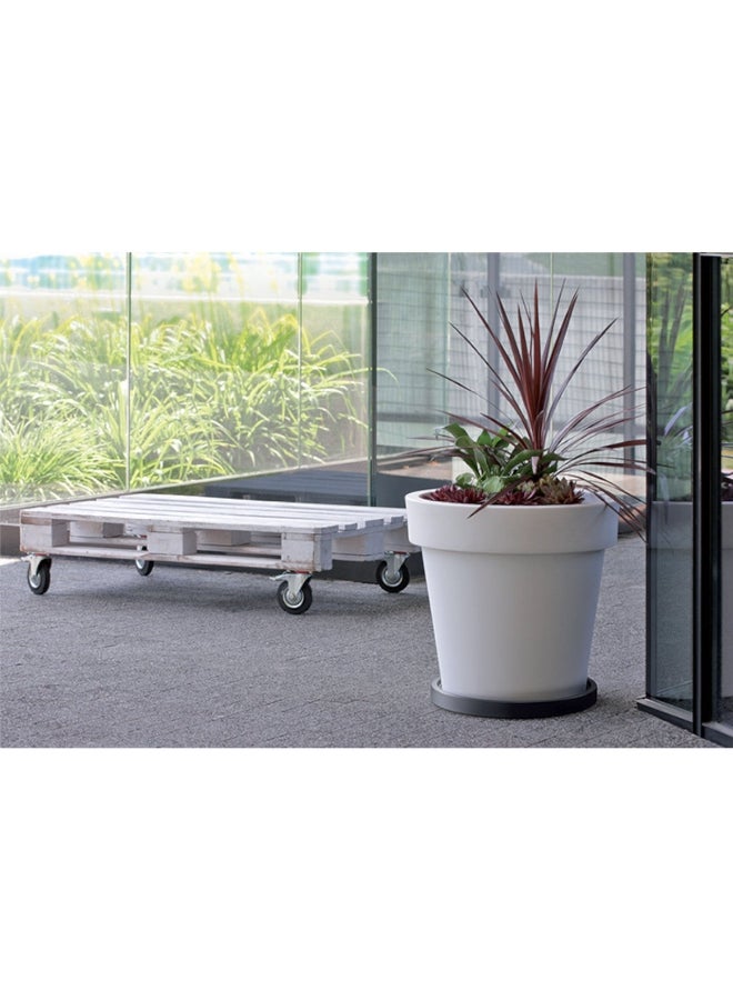 Prosperplast Round Durable Plastic Mobile Plant Saucer Anthracite 5.7 x 36.6 x 36.6 cm - Image 3