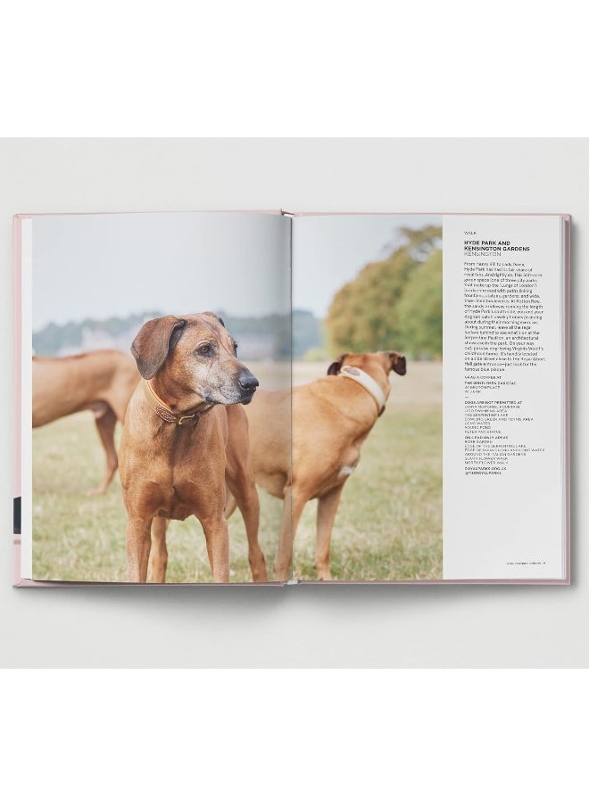 Dog-friendly London  - Image 3