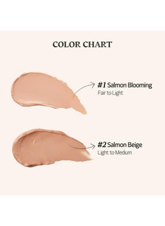 SKIN FOOD since 1957 SKINFOOD Salmon Dark Circle Concealer Cream #2 - Concealer for Dark Circles - Under Eye Concealer for Dark Spots and Wrinkles - Full Coverage Under Eye Concealer - 0.35 Oz/10 g (Salmon Beige)  - Image 5