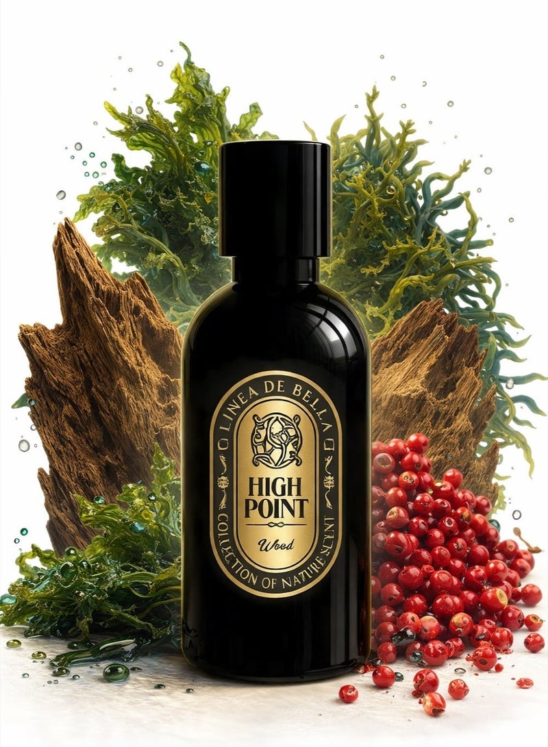 Linea De Bella Highpoint Collection Wood EDP 30ML | Oud & Woody Perfume for Men | Deep Oud & Marine Blend - Image 1