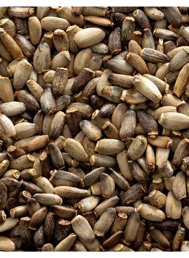 بذور الشوك الحليب الكاملة 16 أونصة (453 جرام)