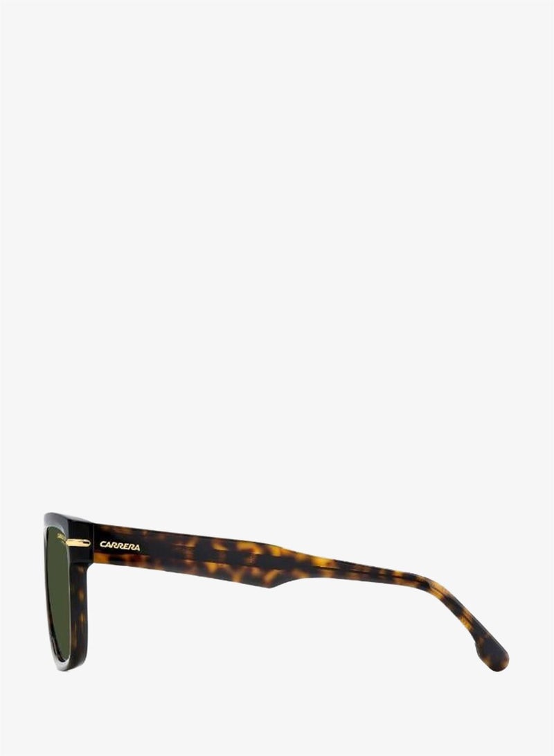 Carrera Sunglasses CARRERA 340/S - Image 5
