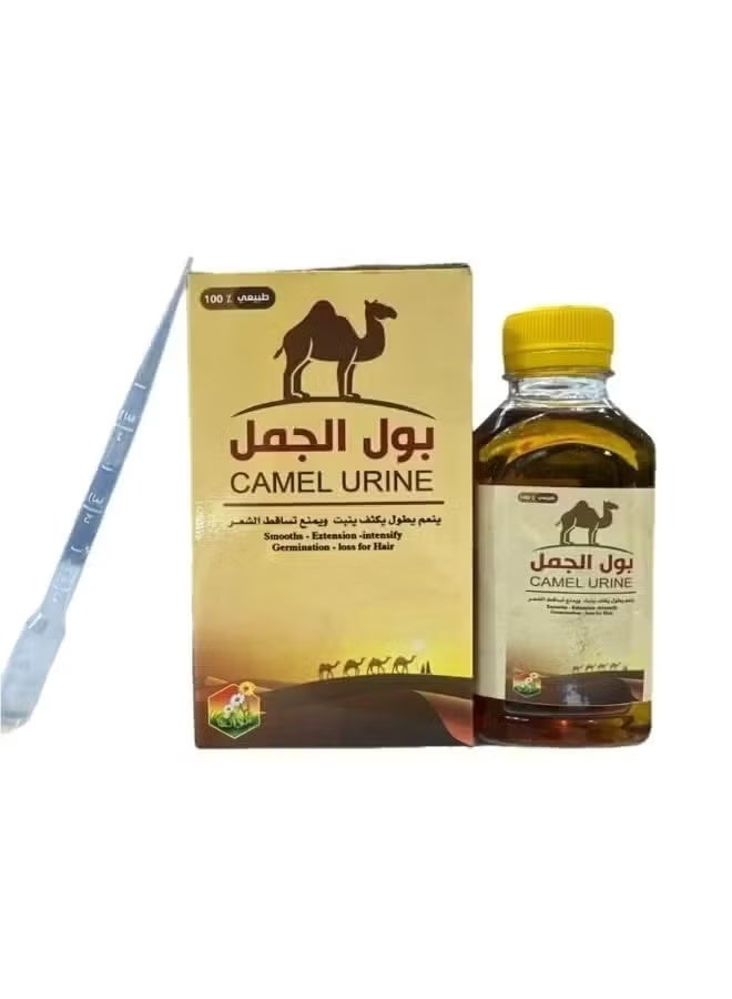 Camel urine oil for hair care