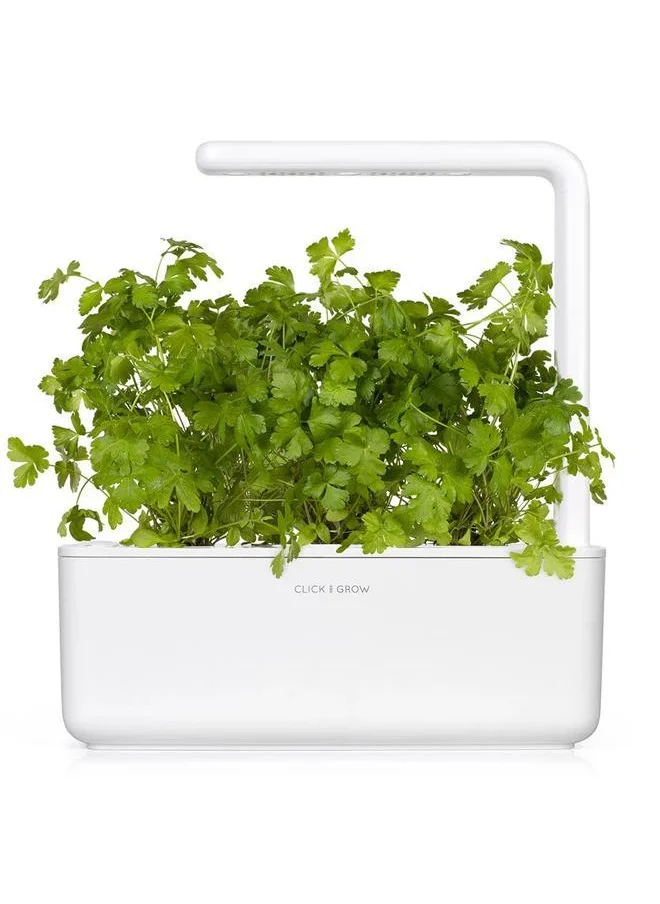 Click & Grow Plant pod 3-pack Sweet Alyssum