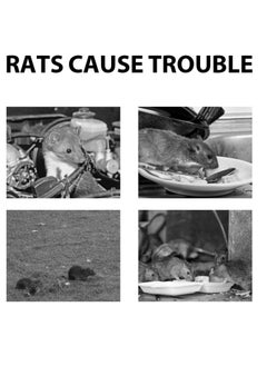 Excefore Rodent Repellent for Cars and Trucks, Peppermint Oil Rodent Repellent, Effective Mice and Pest Control Solution for Vehicle Engines and Interiors  - Image 4