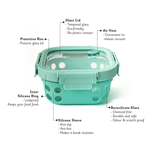 TintBox Glass Lunch Box with Glass Lid and Silicone Sleeve (Coral Green) by MAHAVIR International - Image 2