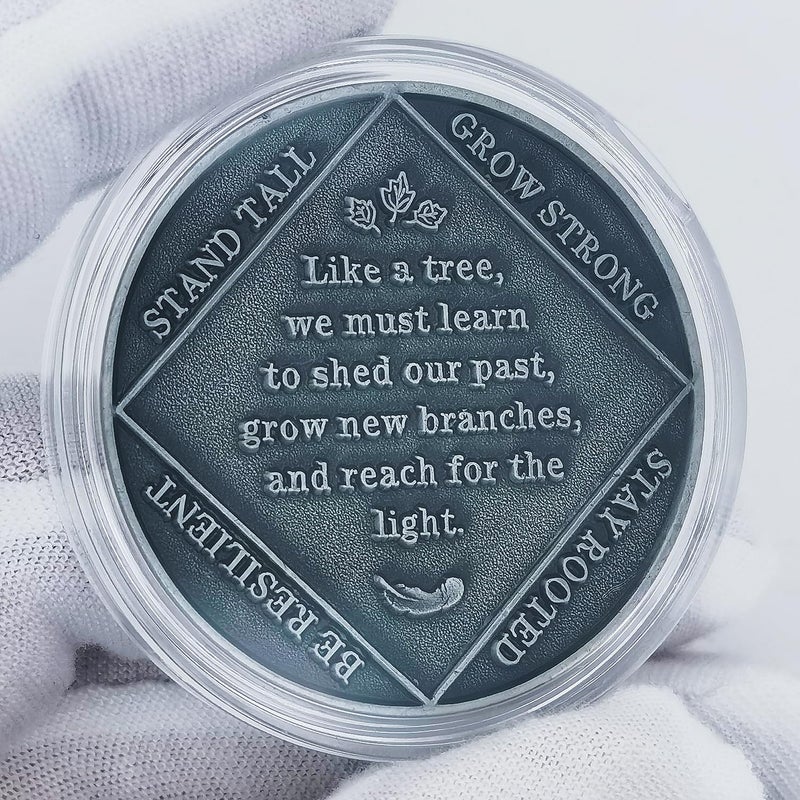 Rumkou Inspirational Coins Tree of Life Challenge Coin - Motivational Quote & Artistic Design (Antique Silver) - Image 5