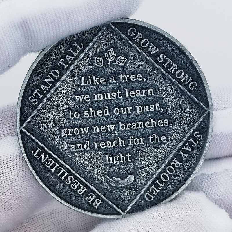 Rumkou Inspirational Coins Tree of Life Challenge Coin - Motivational Quote & Artistic Design (Antique Silver) - Image 3