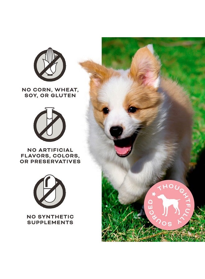 Primal Pet Foods Primal Freeze Dried Dog Treats with Goat Milk for Dogs, Grain Free Training Treats for Dogs with Probiotics (4 Ounce (Pack of 1), Chicken & Peanut Butter) - Image 4