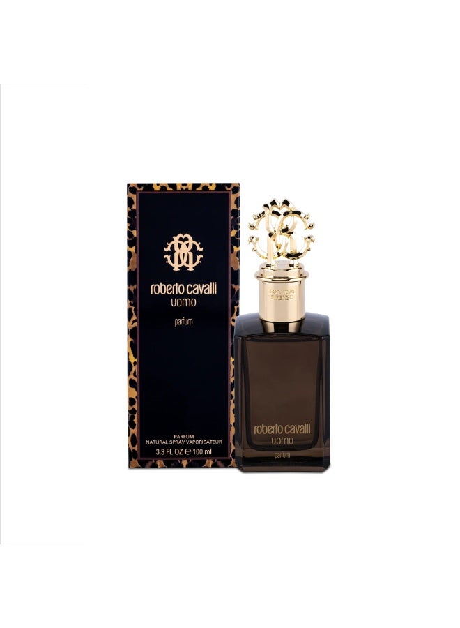 Roberto Cavalli Hombre Perfume 100ml