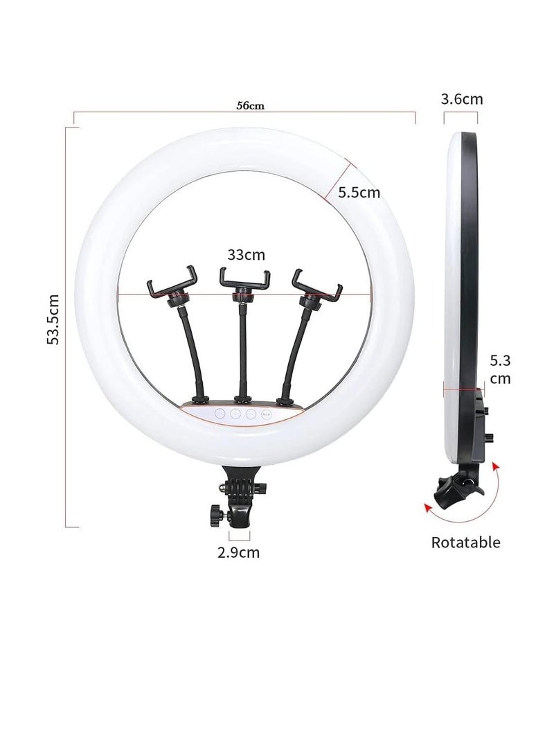 حلقة إضاءة RGB مقاس 56 سم مع حامل موبايل من تيك بلايز – إضاءة احترافية قابلة للتعديل لفيديوهات الانستجرام، تصوير مدونات الفيديو، وتصوير الفيديوهات باستخدام الايفون/موبايلات الاندرويد والكاميرا (56 سم) - Image 2