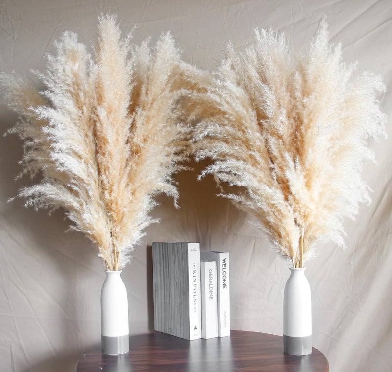 Naunauya 14 Stems 30 inch Dried Pampas Grass Decor Tall Large Pompas Grass Boho Neutral Home Decor Bouquet Fluffy Pampass Grass for Floor Vase Wedding Floral Arrangements Wall Farmhouse Table Decor 