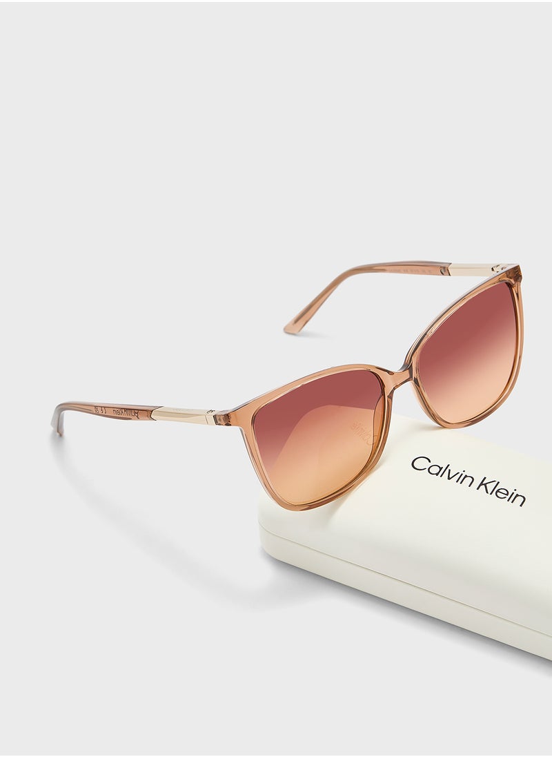 CALVIN KLEIN Butterfly Sunglasses  - Image 5