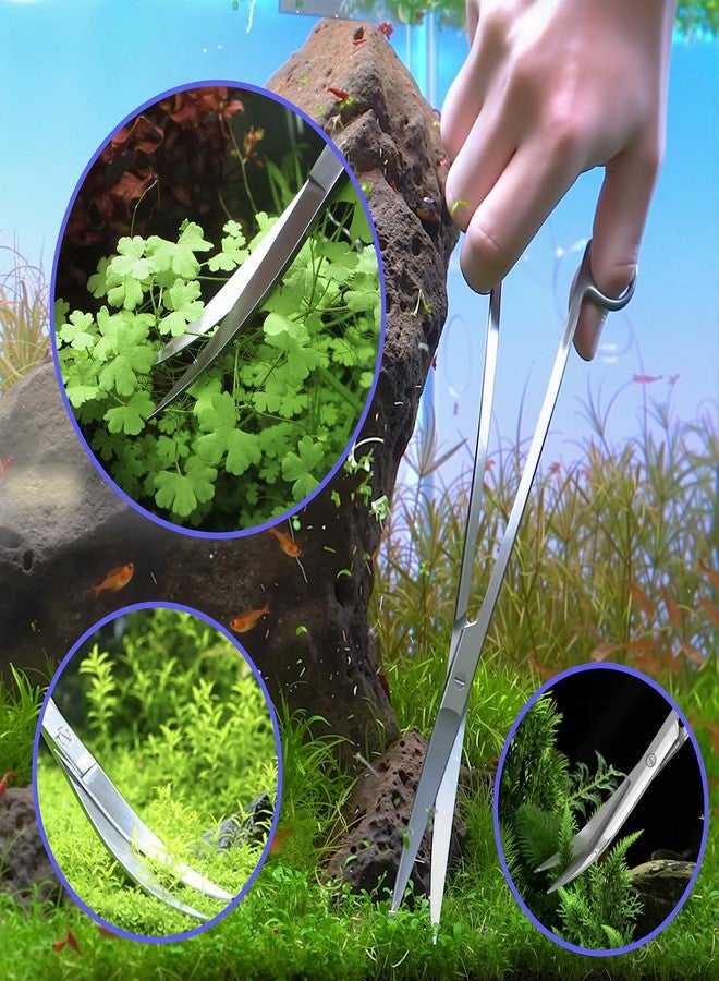 CerAiCoae مجموعة أدوات تغذية الزواحف المكونة من 5 قطع، تتضمن ملقطًا برأس سيليكون، وملاعق مسطحة ومستديرة، ومقصًا منحنيًا - أدوات طويلة جدًا من الفولاذ المقاوم للصدأ لأحواض الزواحف، مناسبة للتنانين الملتحية، والثعابين، والعناكب، وأحواض السمك، وموائل الأحواض المائية. - Image 5