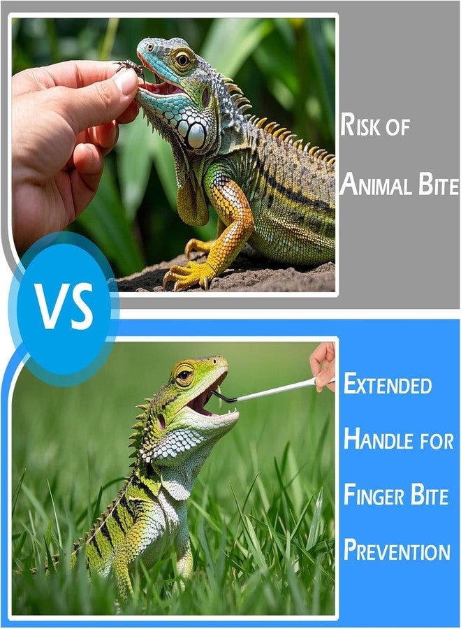 CerAiCoae مجموعة أدوات تغذية الزواحف المكونة من 5 قطع، تتضمن ملقطًا برأس سيليكون، وملاعق مسطحة ومستديرة، ومقصًا منحنيًا - أدوات طويلة جدًا من الفولاذ المقاوم للصدأ لأحواض الزواحف، مناسبة للتنانين الملتحية، والثعابين، والعناكب، وأحواض السمك، وموائل الأحواض المائية. - Image 4