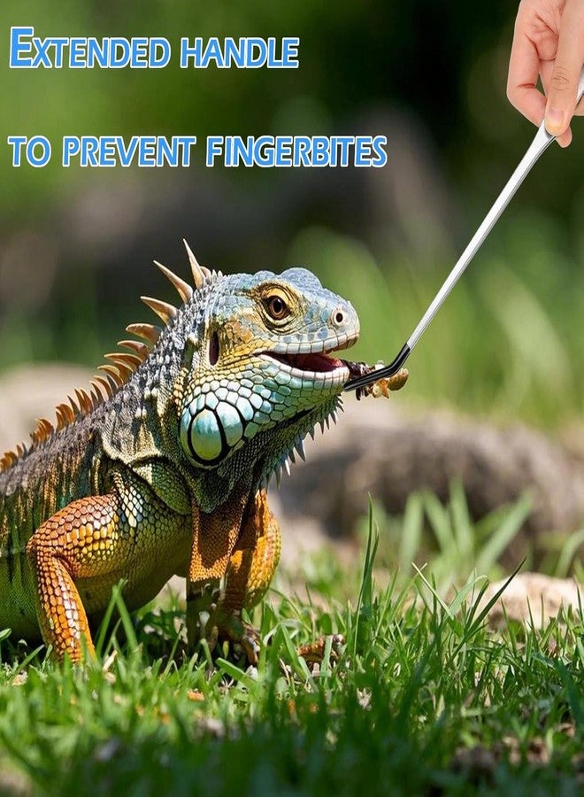 CerAiCoae مجموعة أدوات تغذية الزواحف المكونة من 5 قطع، تتضمن ملقطًا برأس سيليكون، وملاعق مسطحة ومستديرة، ومقصًا منحنيًا - أدوات طويلة جدًا من الفولاذ المقاوم للصدأ لأحواض الزواحف، مناسبة للتنانين الملتحية، والثعابين، والعناكب، وأحواض السمك، وموائل الأحواض المائية. - Image 2