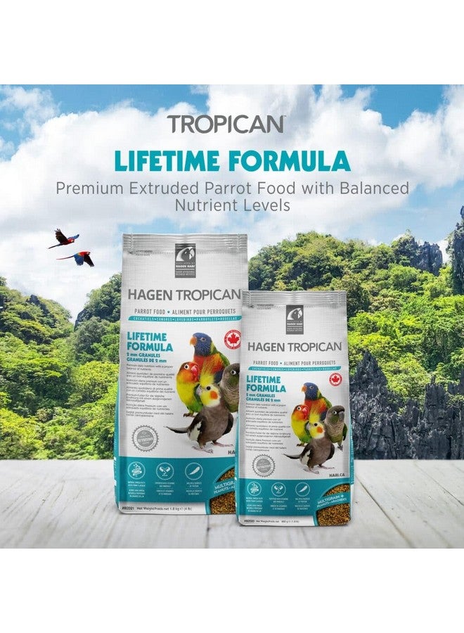 Hari HARI Tropican Bird Food, Hagen Parrot Food with Peanuts & Sunflower Seeds, Maintenance Parrot Granules 2 mm, Lifetime Formula, 1.8 lb Bag - Image 2