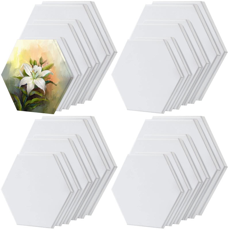Thenshop 24 Pieces Stretched Canvas for Painting Bulk Blank Canvas Board Square Round Hexagon Heart Shaped Frame for Kids Art Supplies for Acrylic Pouring Oil PaintingHexagon
