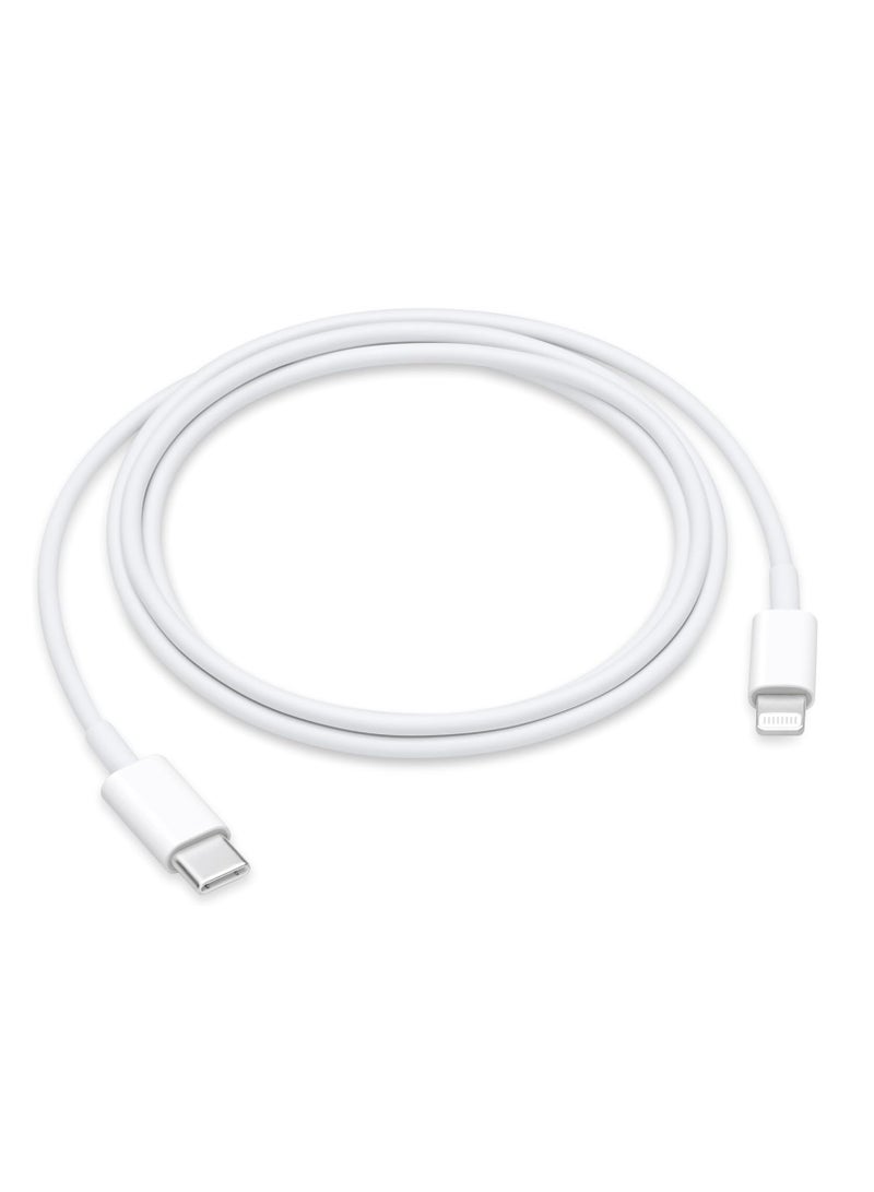 Terabyte iPhone Charger Cable 1M, USB C to USB C Charging Cable PVC PD Fast Charge Type C Cable - Image 1