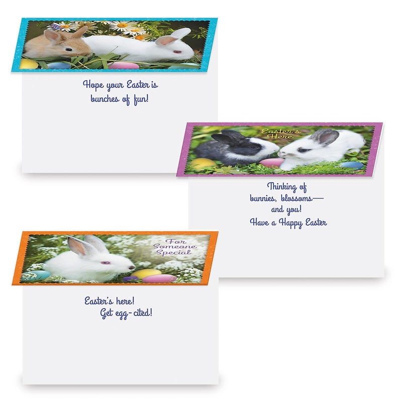 Current Photo Bunny Border Easter Greeting Card Set - Value Pack of 12 Cards for Kids & Adults With White Envelopes, 12 Design Prints, Large 5" x 7" Greetings - Image 2