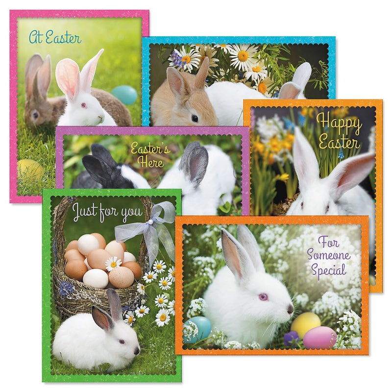 Current Photo Bunny Border Easter Greeting Card Set - Value Pack of 12 Cards for Kids & Adults With White Envelopes, 12 Design Prints, Large 5" x 7" Greetings - Image 1
