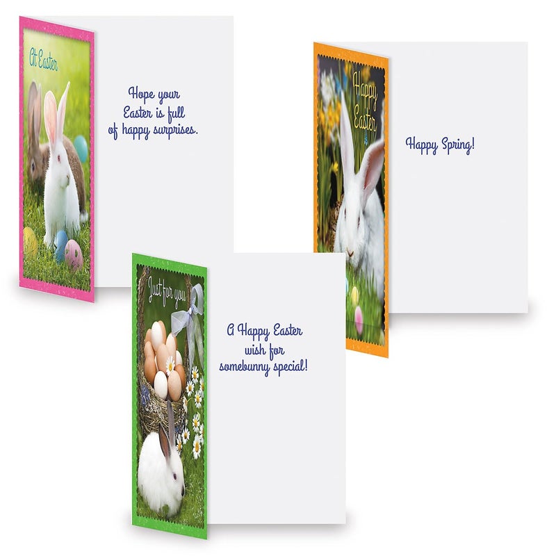 Current Photo Bunny Border Easter Greeting Card Set - Value Pack of 12 Cards for Kids & Adults With White Envelopes, 12 Design Prints, Large 5" x 7" Greetings - Image 3